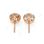 Load image into Gallery viewer, Round Claw Studs Earring STCL1322