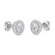 Halo Stud Earring STHA029