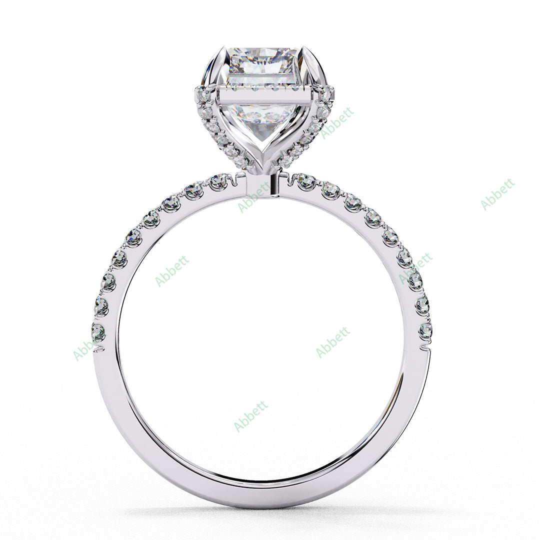 Hidden Accent Engagement Ring ENHI1053