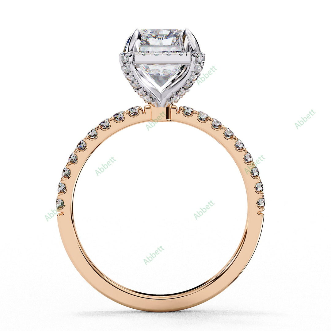 Hidden Accent Engagement Ring ENHI1053