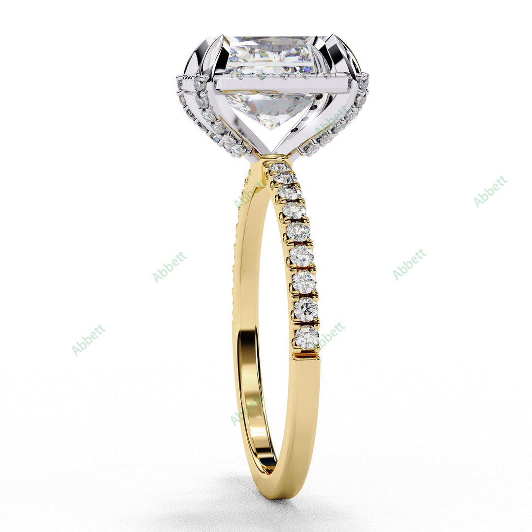 Hidden Accent Engagement Ring ENHI1053