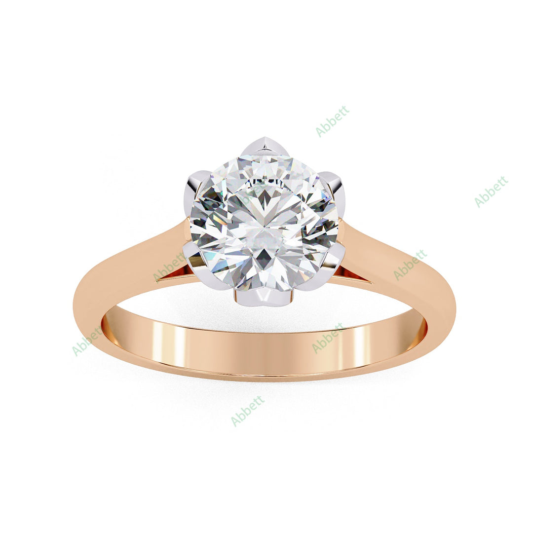 Hidden Accent Engagement Ring ENHI1066