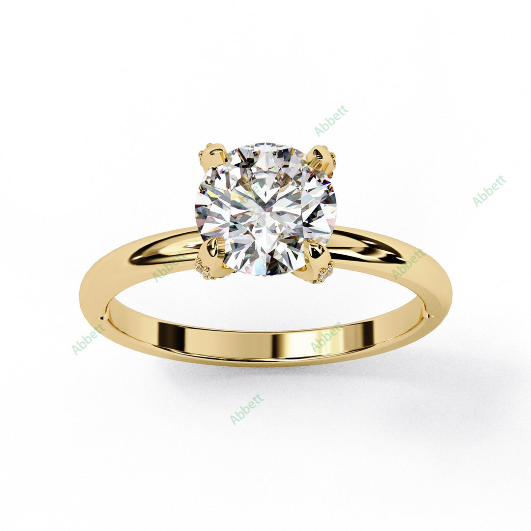 Hidden Accent Engagement Ring ENHI1072