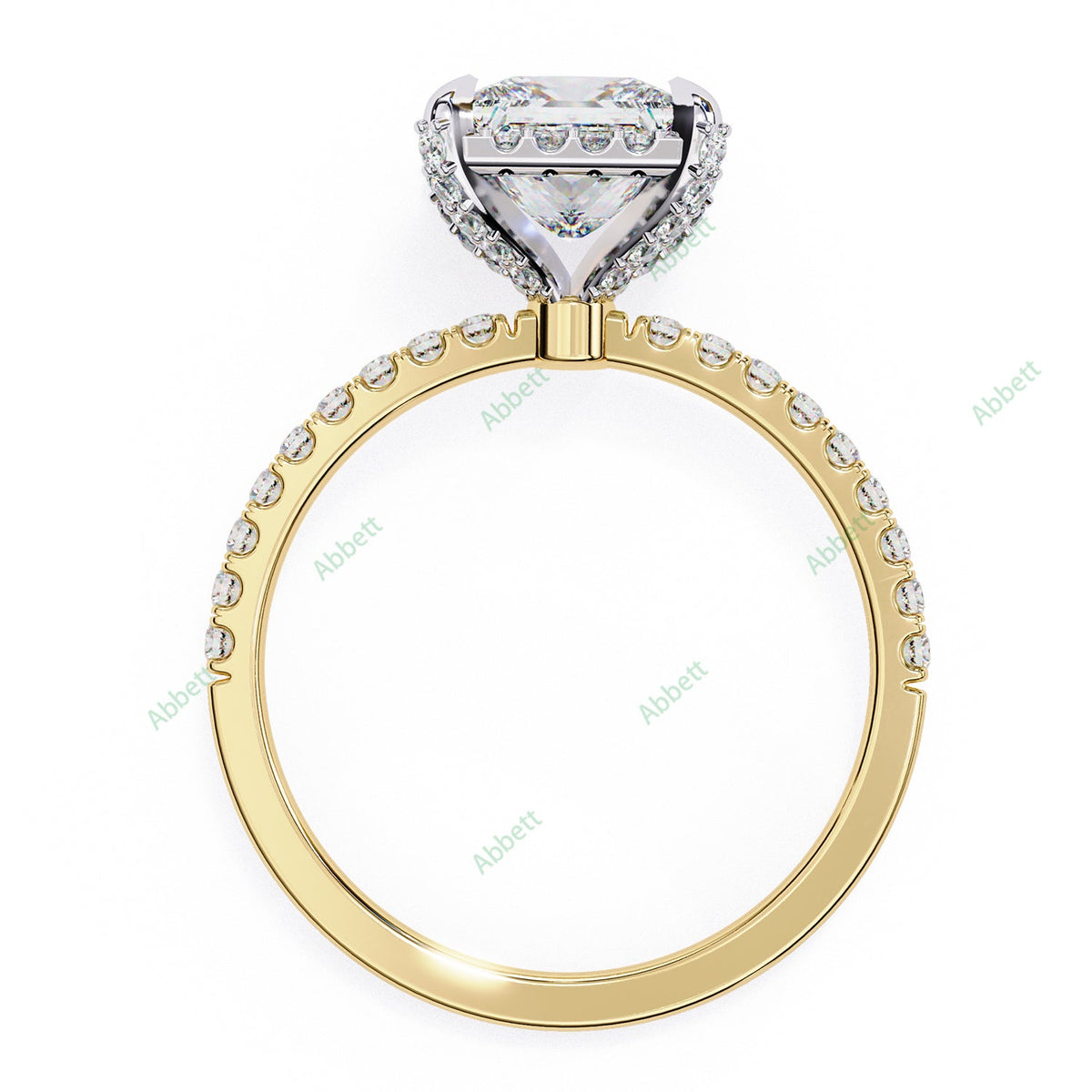 Hidden Accent Engagement Ring ENHI1088