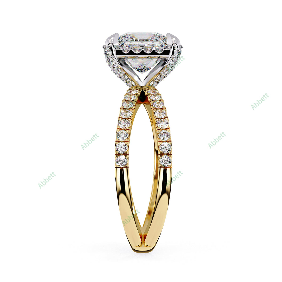 Hidden Accent Engagement Ring ENHI1091
