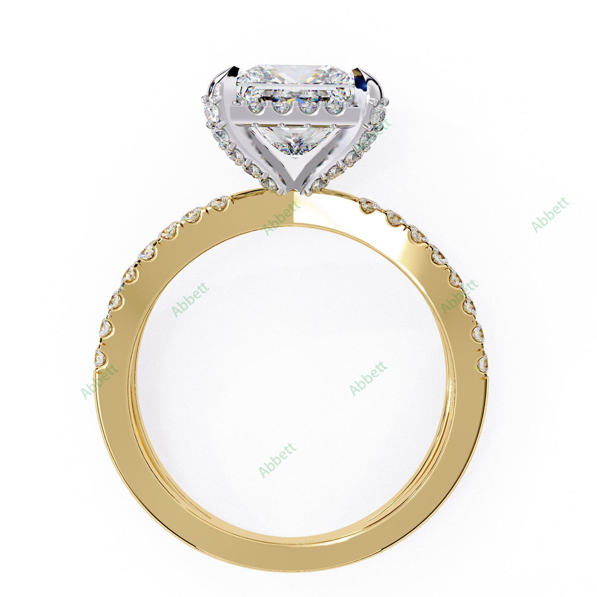 Hidden Accent Engagement Ring ENHI1091