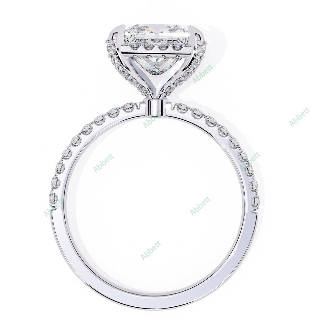 Hidden Accent Engagement Ring ENHI1092