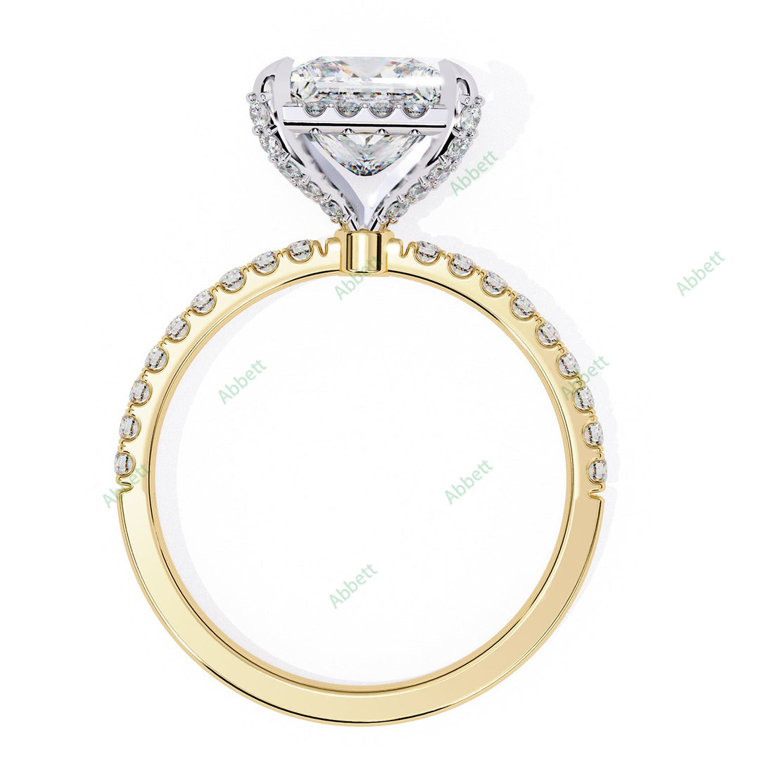 Hidden Accent Engagement Ring ENHI1092