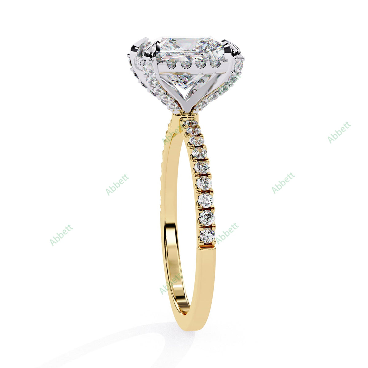 Hidden Accent Engagement Ring ENHI1092