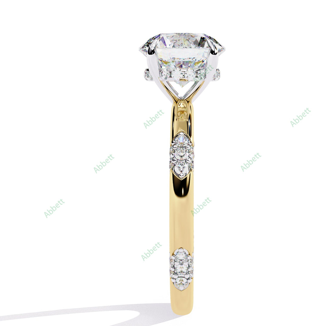 Hidden Halo Engagement Ring ENHI1137