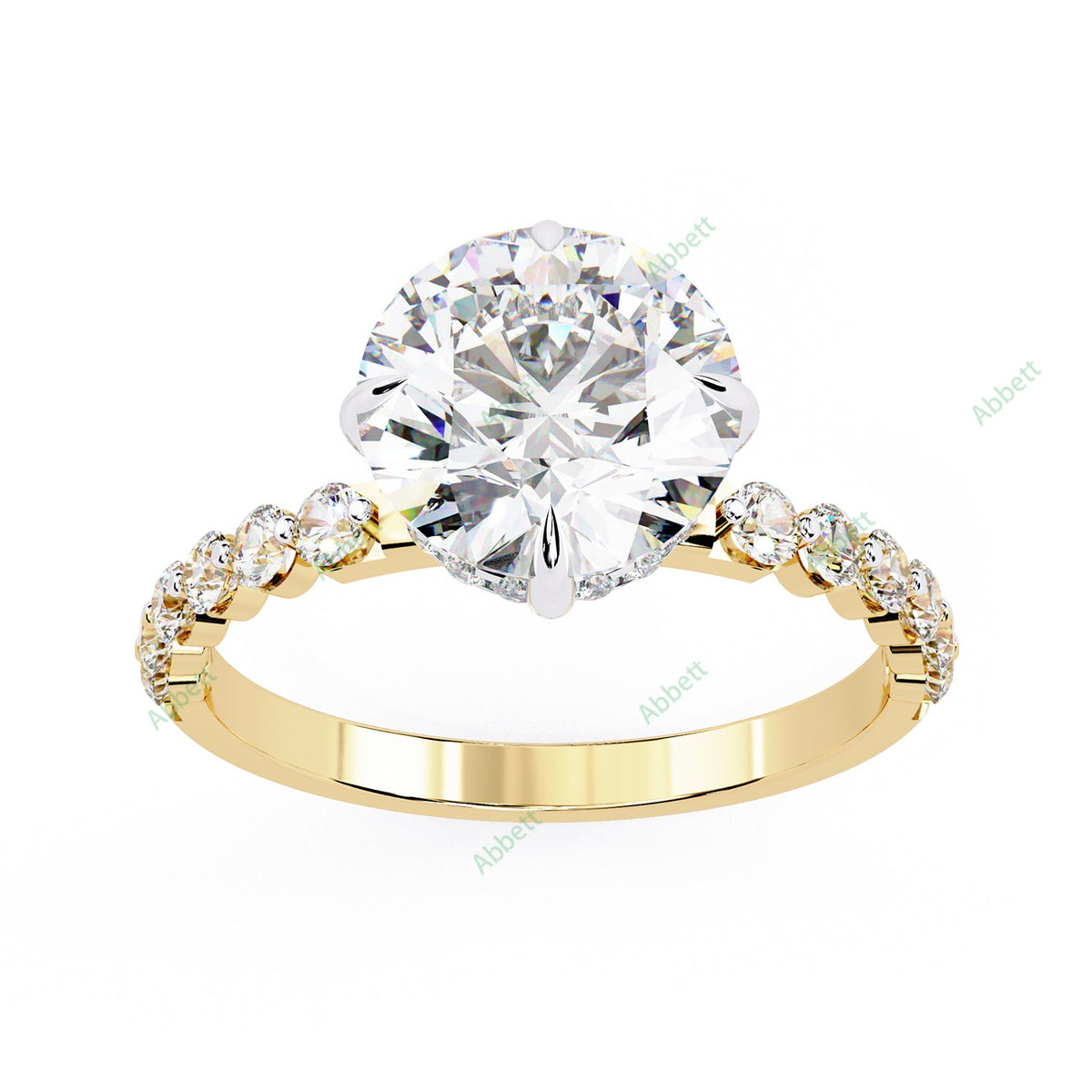 Hidden Halo Engagement Ring ENHI1140