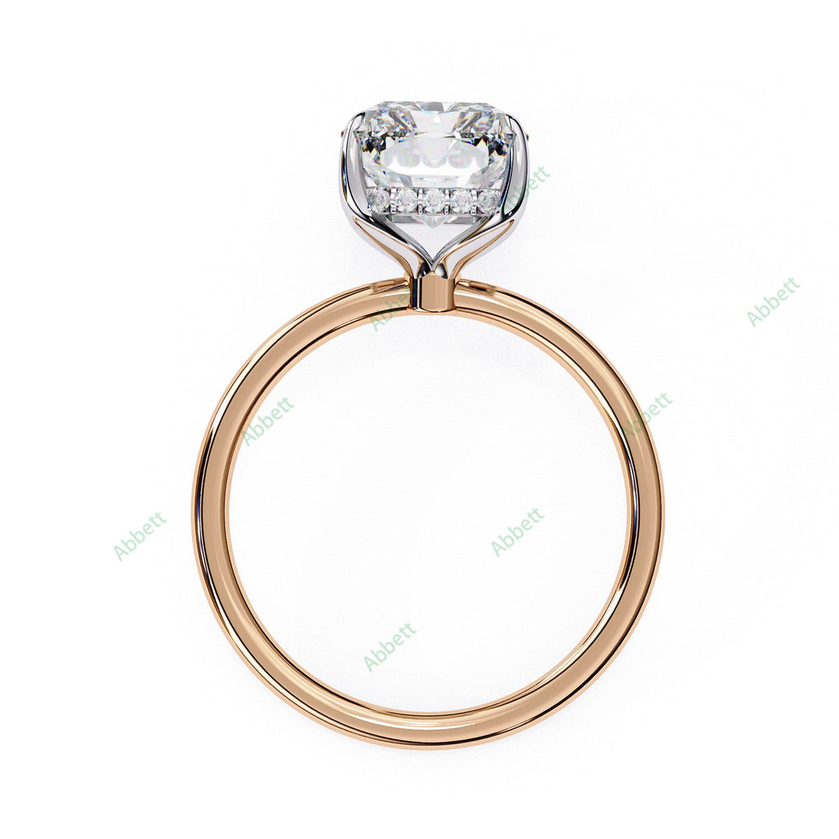 Hidden Halo Engagement Ring ENHI1151