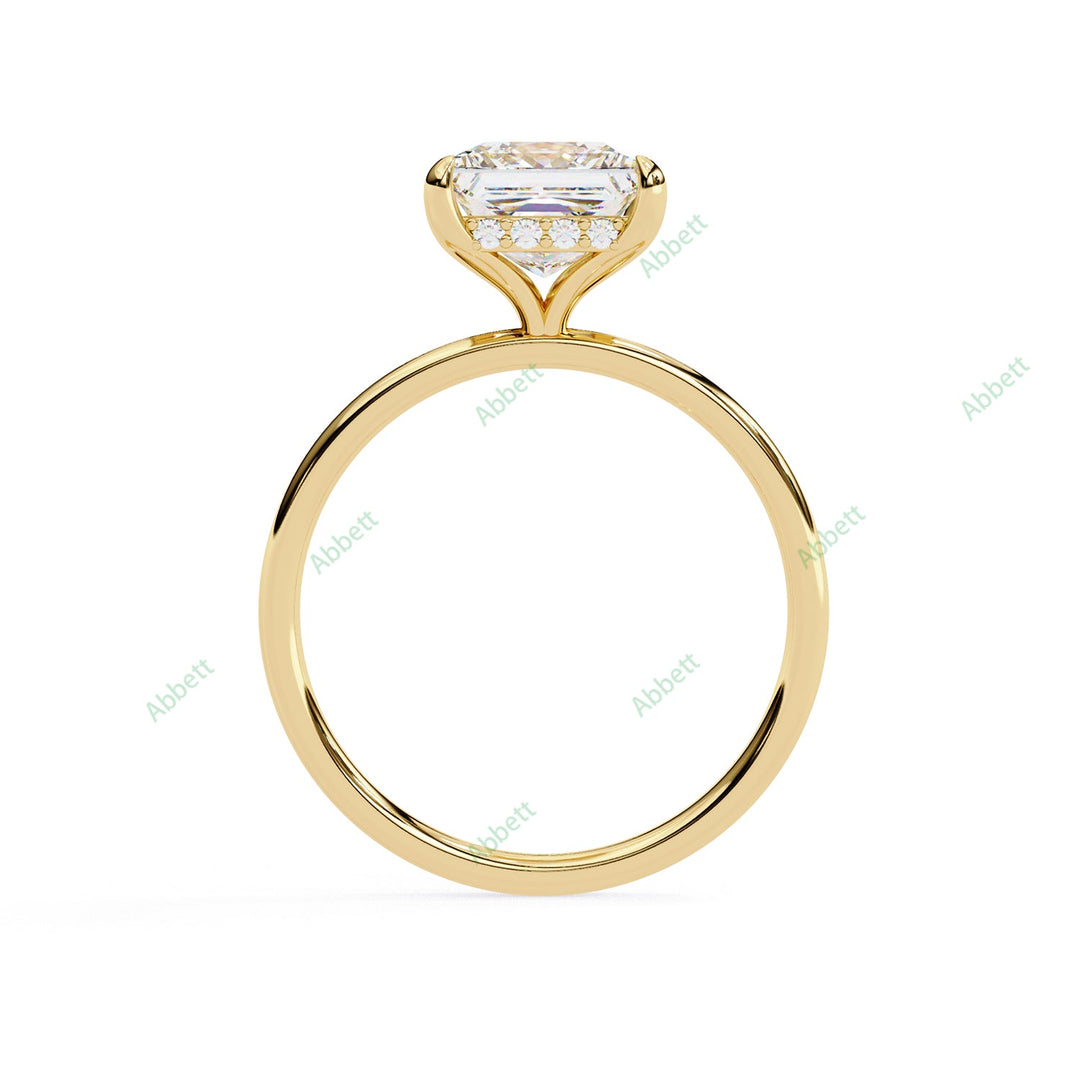Hidden Halo Engagement Ring ENHI1159