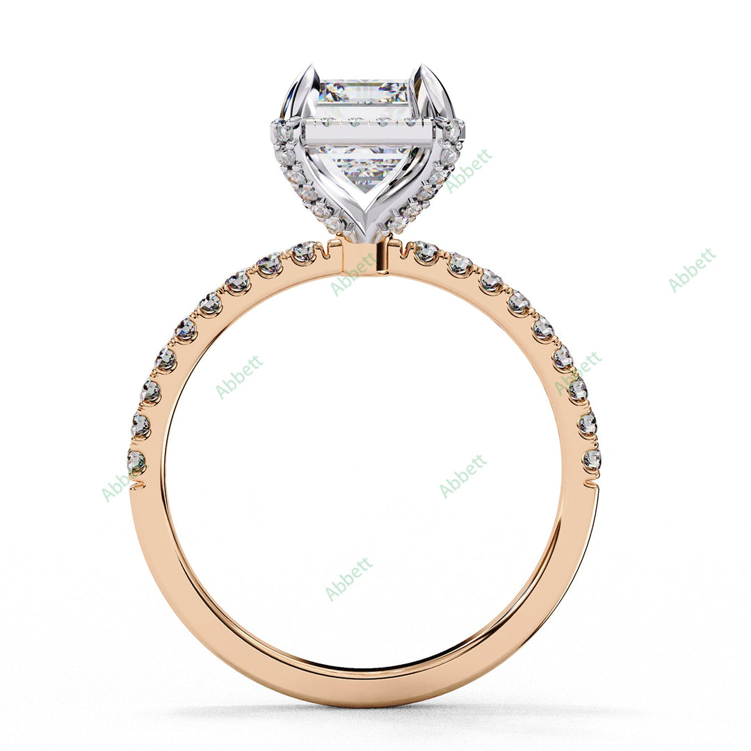 Hidden Accent Engagement Ring ENHI1483