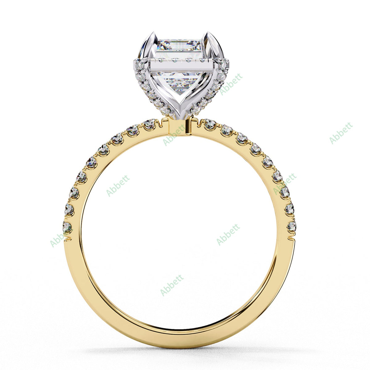 Hidden Accent Engagement Ring ENHI1483