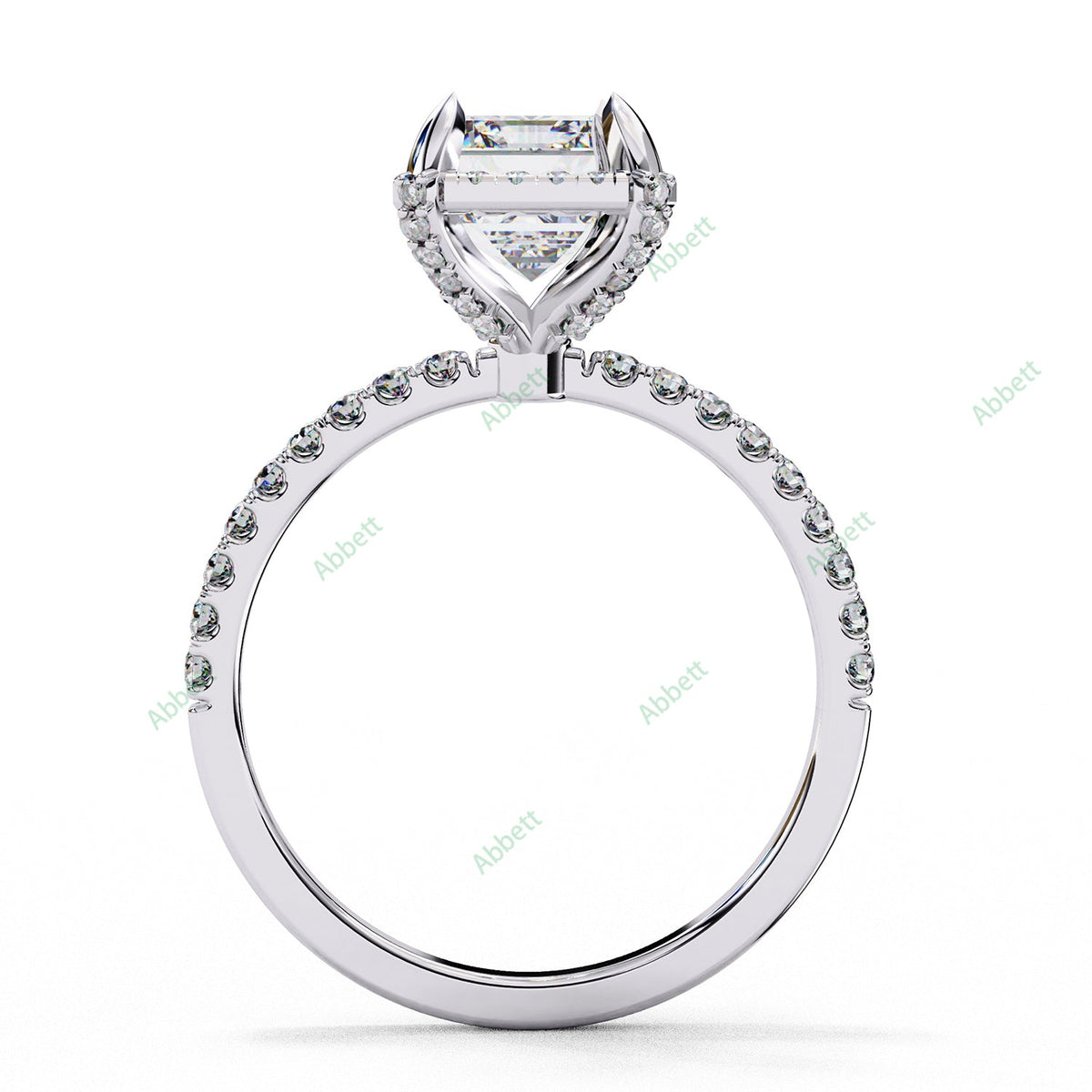 Hidden Accent Engagement Ring ENHI1483