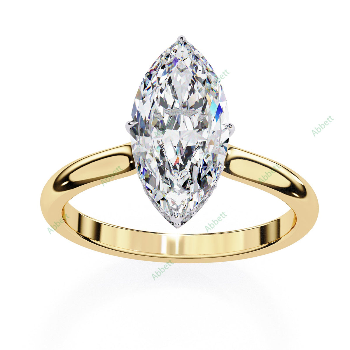 Hidden Halo Engagement Ring ENHI1519