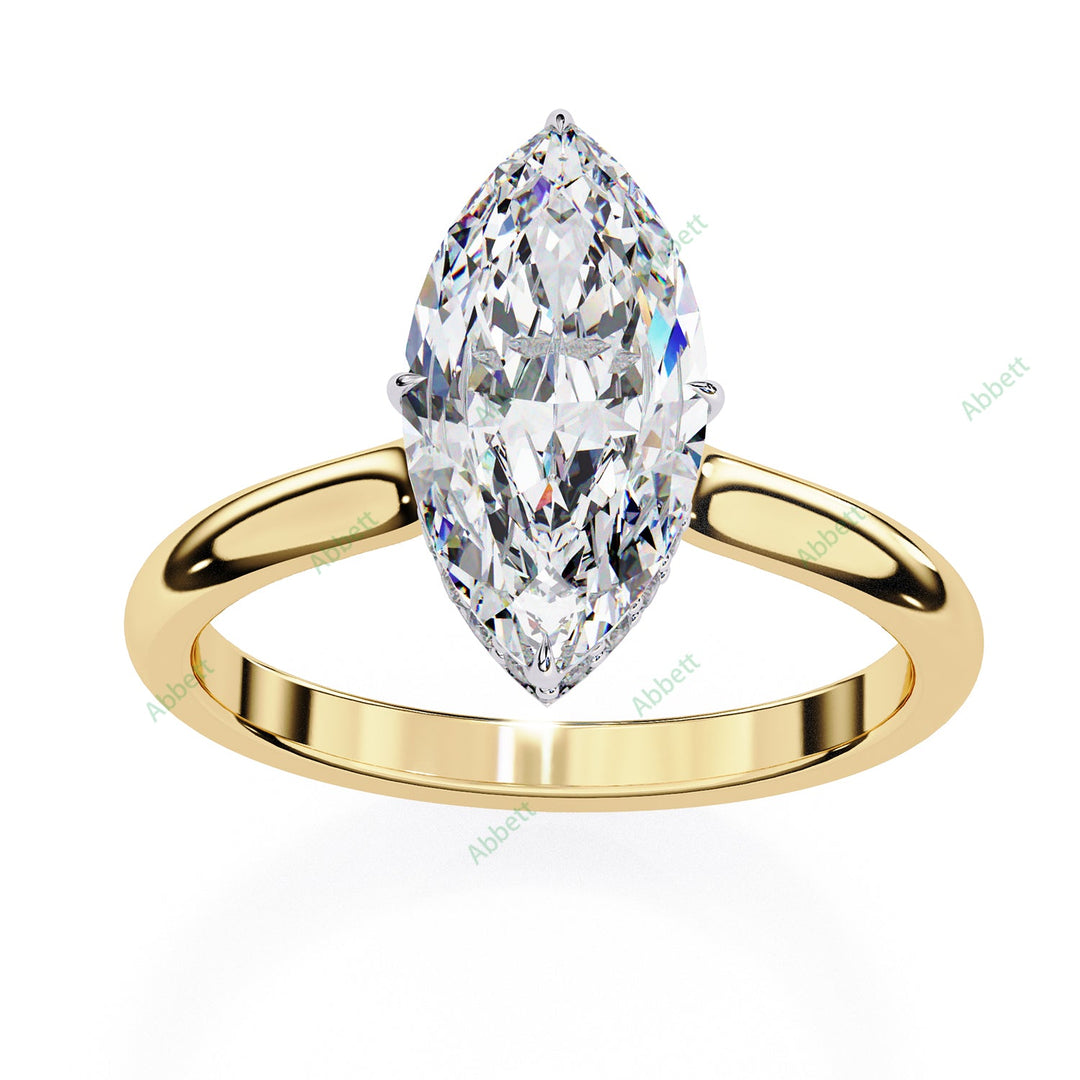 Hidden Halo Engagement Ring ENHI1519