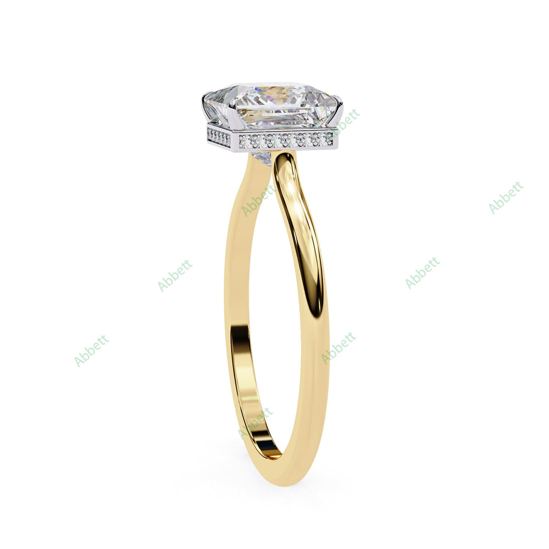 Hidden Halo Engagement Ring ENHI1520