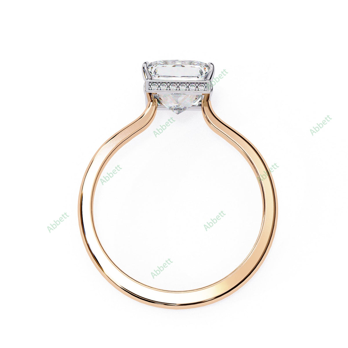 Hidden Halo Engagement Ring ENHI1520