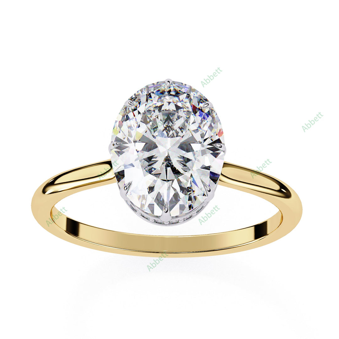 Hidden Halo Engagement Ring ENHI1522