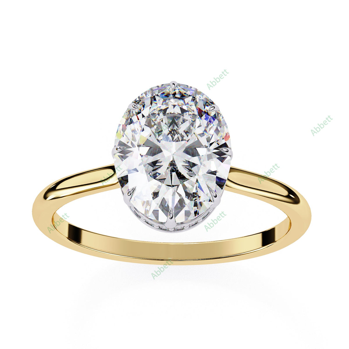 Hidden Halo Engagement Ring ENHI1522