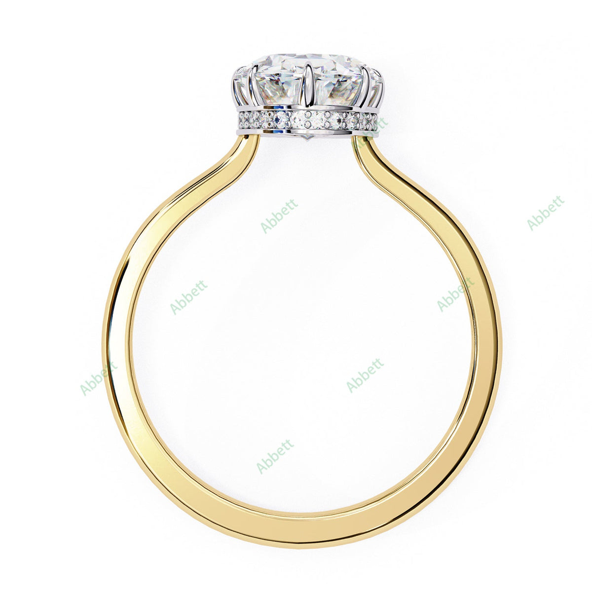 Hidden Halo Engagement Ring ENHI1522