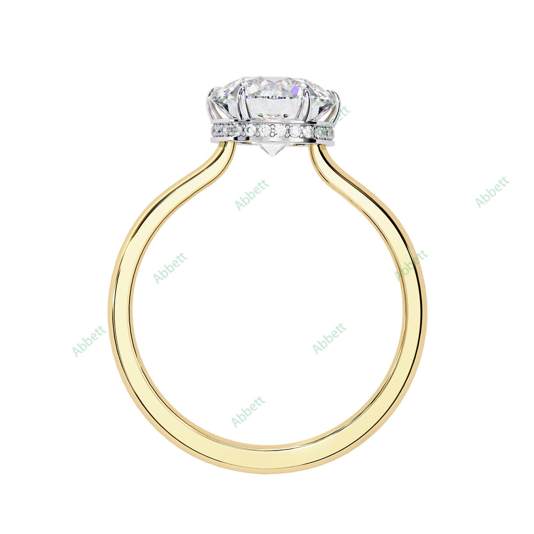 Hidden Halo Engagement Ring ENHI1523