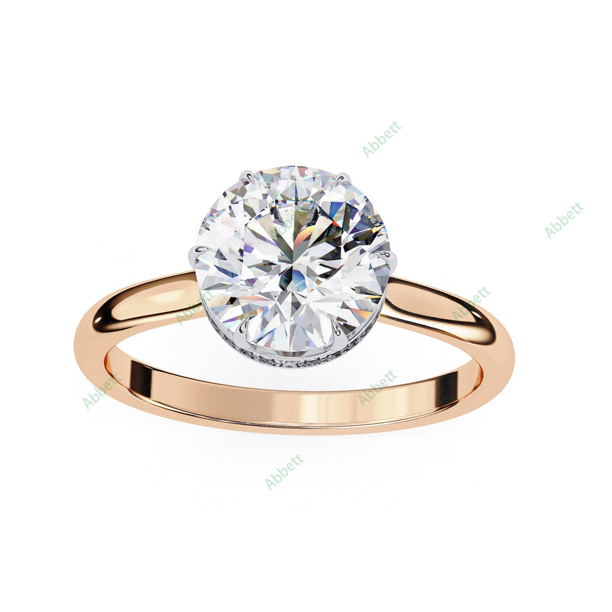 Hidden Halo Engagement Ring ENHI1523