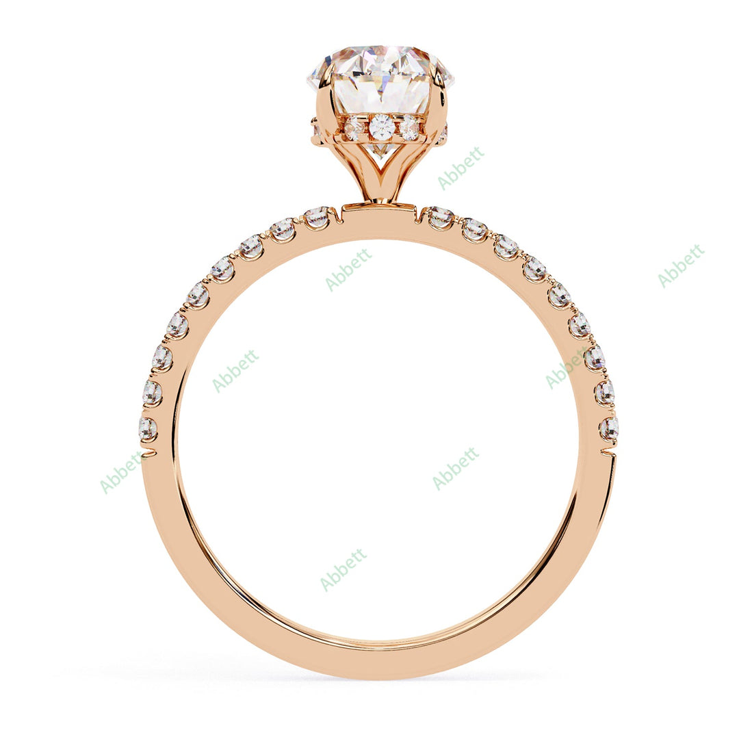 Hidden Halo Engagement Ring ENHI1564