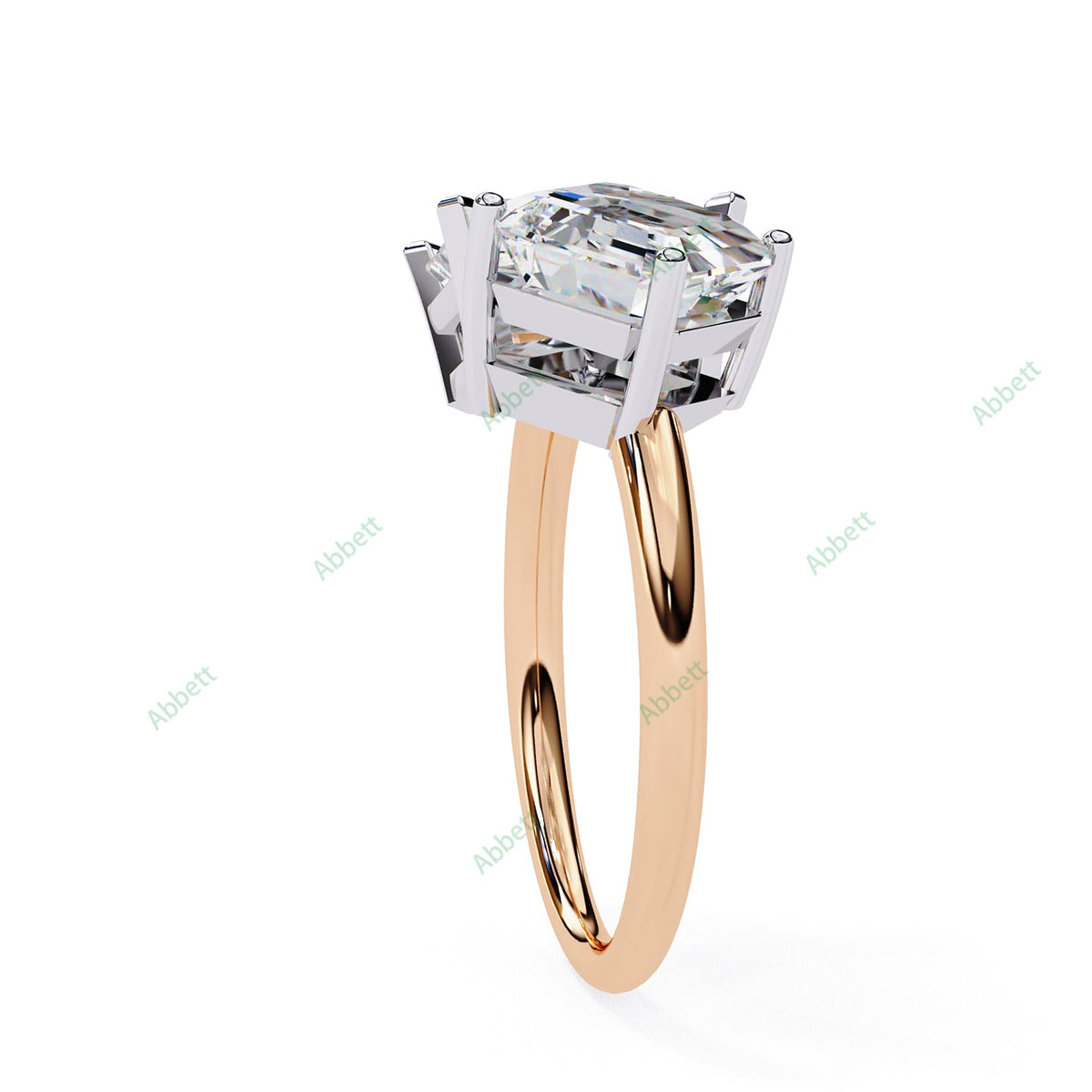 Two Stone Engagement Ring ENTW1166