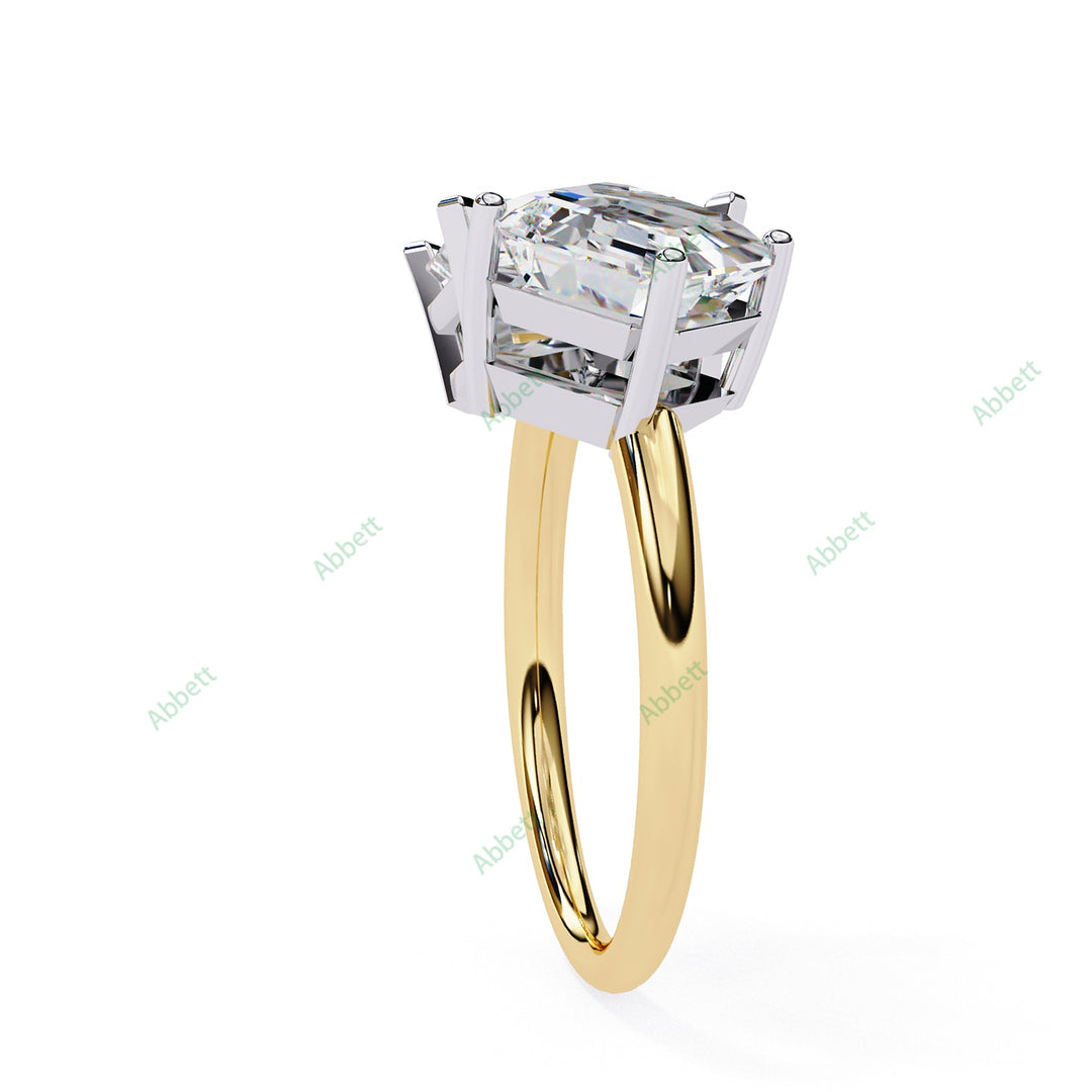 Two Stone Engagement Ring ENTW1166