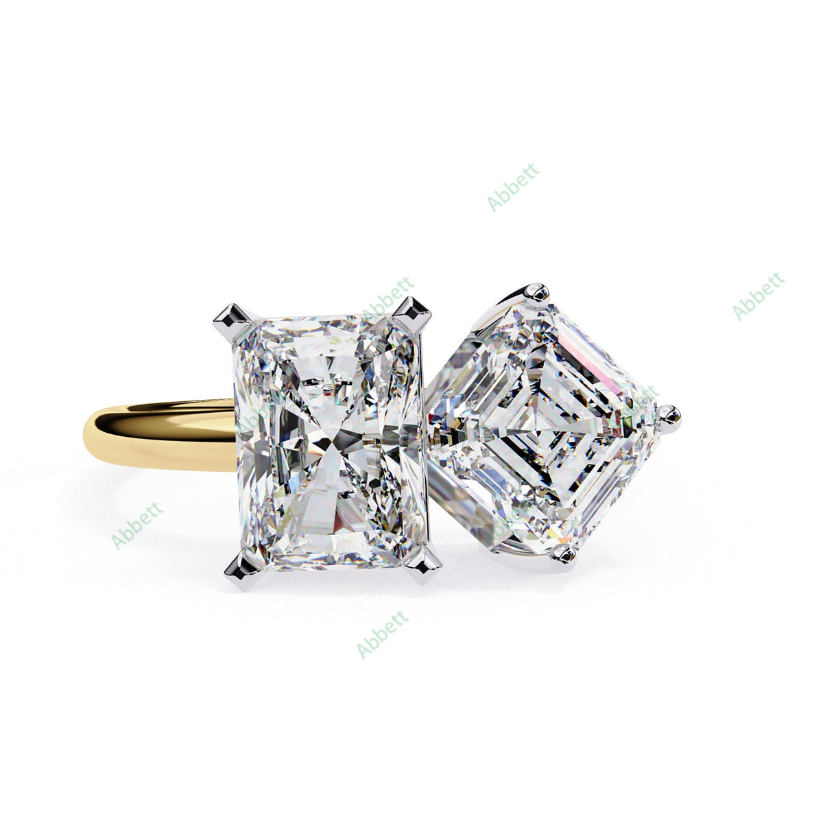 Two Stone Engagement Ring ENTW1166