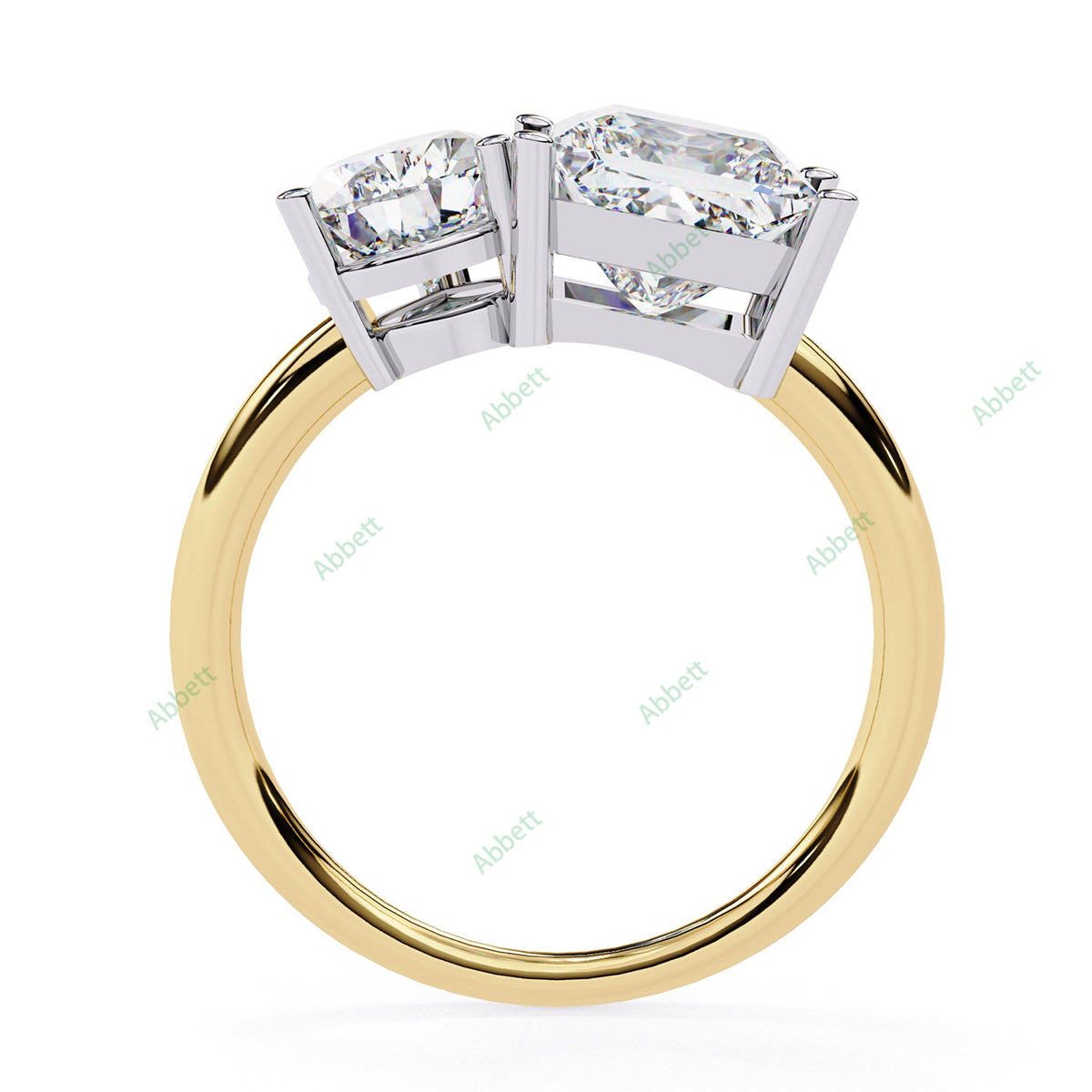 Two Stone Engagement Ring ENTW1170