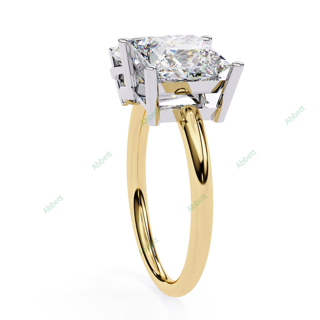 Two Stone Engagement Ring ENTW1170