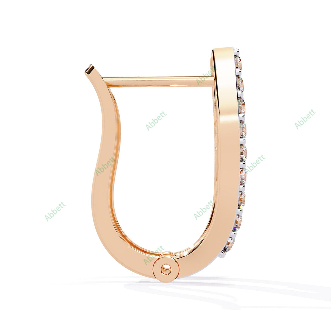 Multi  Fashion Hoops Earring HOFA1376