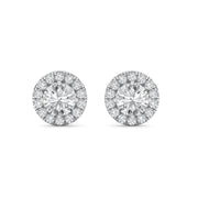 Halo Stud Earring STHA031